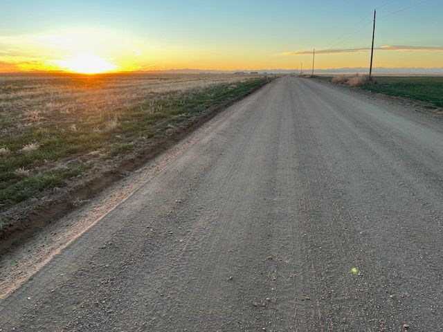 Dirt road leading toward a sunrise over a field.