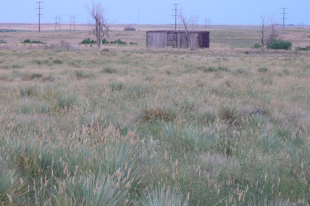 A small building in the middle of a grassy field.