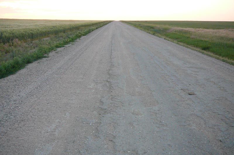 A dirt road going through a grassy field.