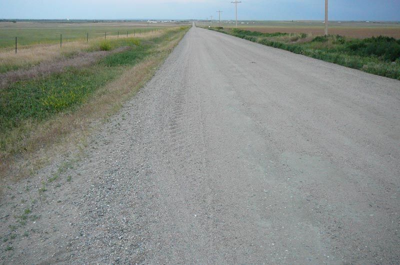 A dirt road going through a field with grass on both sides.