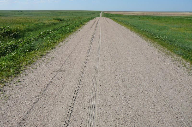 A dirt road going through a grassy field