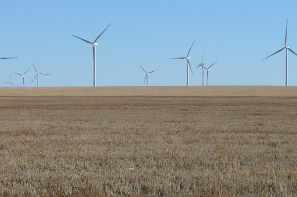 A field with wind turbines in the distance