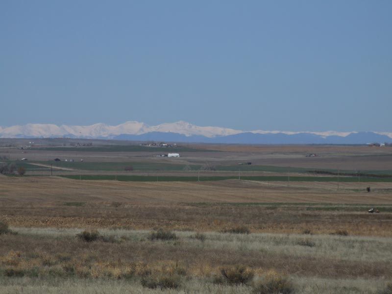 A desert landscape with snowy mountains in the background