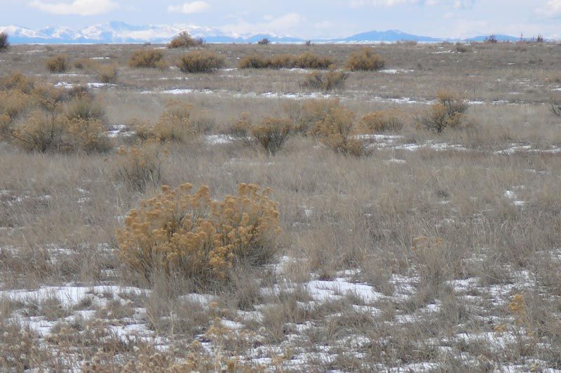 A desert landscape with snow on the ground and mountains in the background.