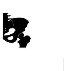 DR. DAVID GONZÁLEZ RAMÍREZ