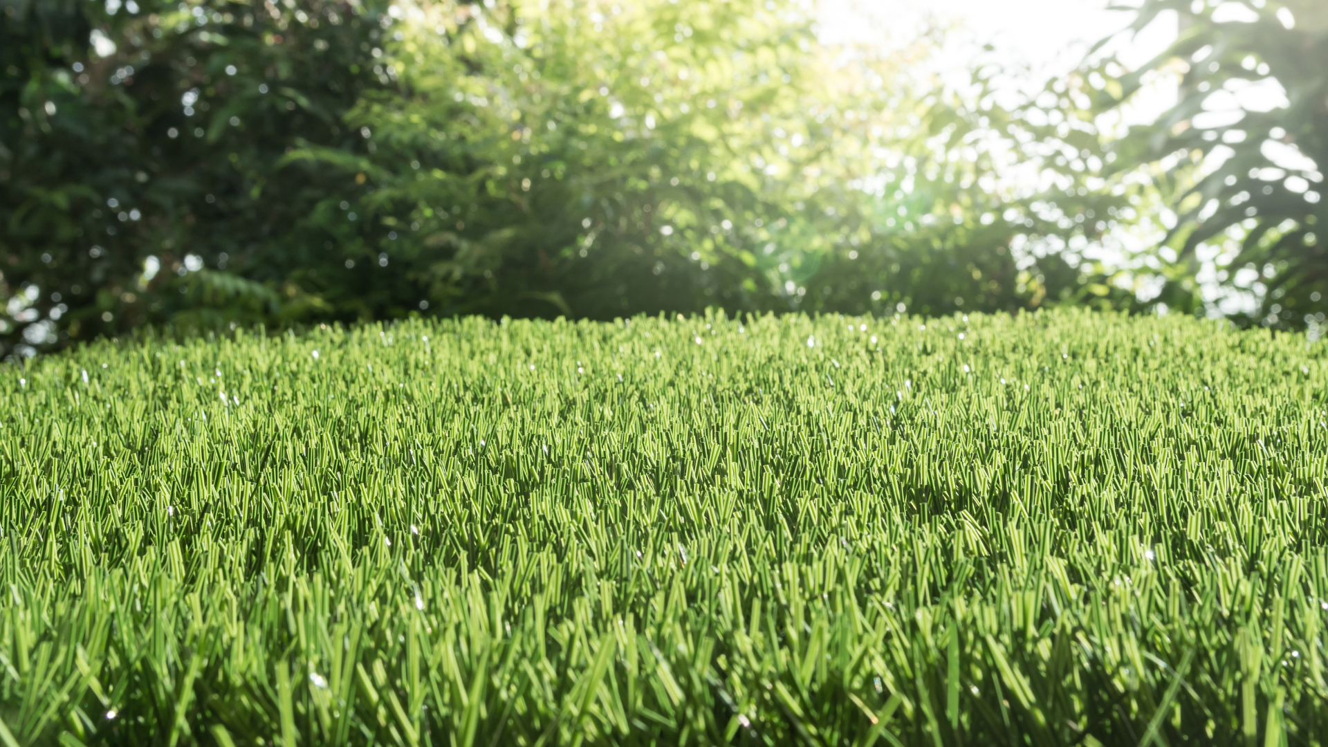a sprinkler is spraying water on a lush green lawn .
