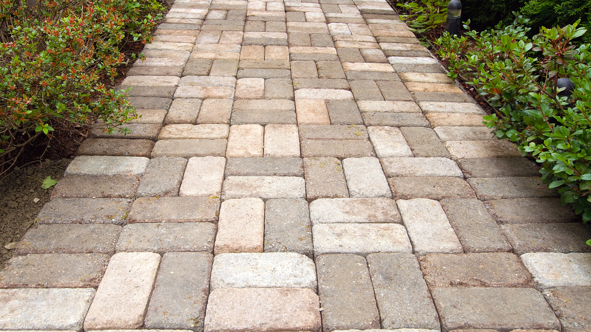 a brick walkway going through a garden surrounded by bushes .