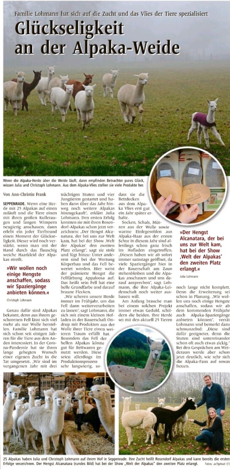 Ein Zeitungsartikel über Alpakas auf einem Feld
