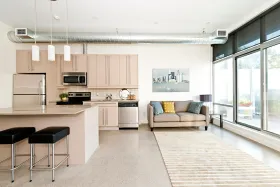 Modern apartment kitchen and living space with stainless steel appliances, island, and a sofa.