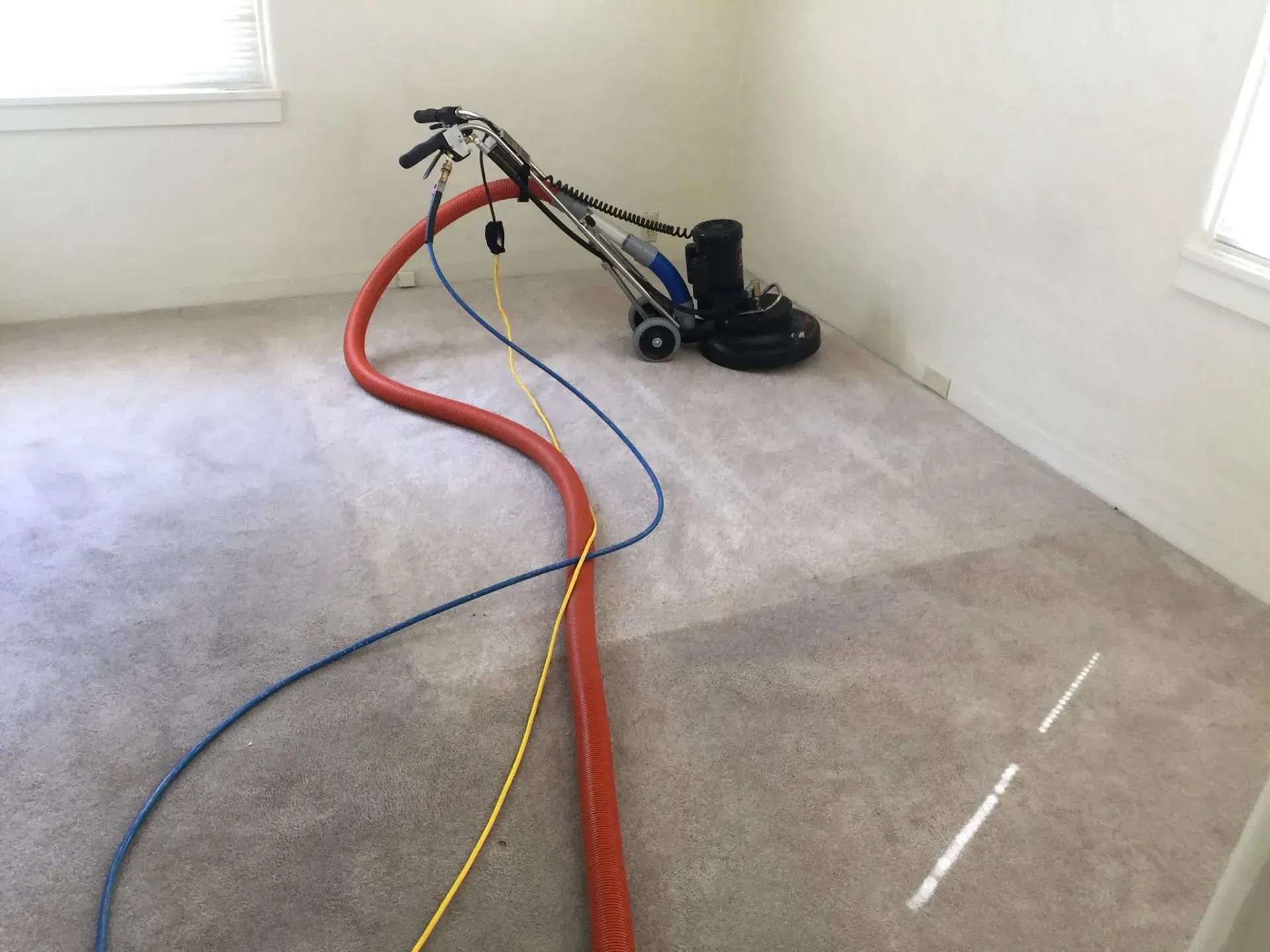Carpet cleaning machine with red, blue, and yellow hoses in a mostly empty room