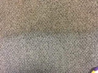 Close-up of beige carpet with a small purple object in the bottom-right corner