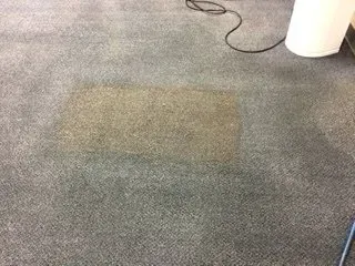 Gray carpet with a large tan stain in the center, near a white bucket and a cord on the floor