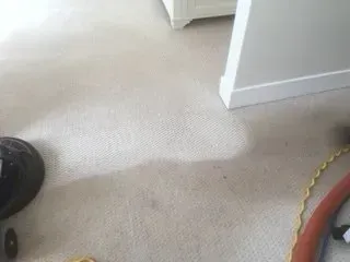Beige carpet with a dark stain near a doorway and a vacuum cleaner edge visible at left.