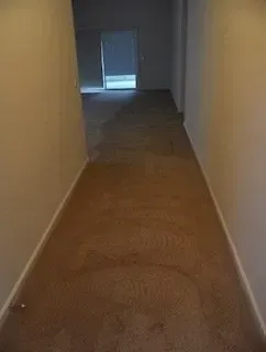 Dim hallway with tan carpet leading to a bright doorway at the end