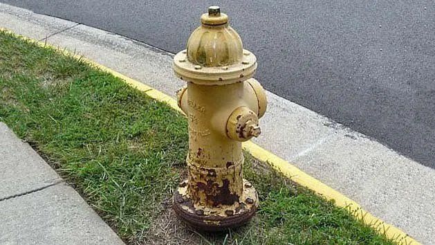 Fire Hydrant — Ocoee, FL — Fire Tech Extinguisher Service