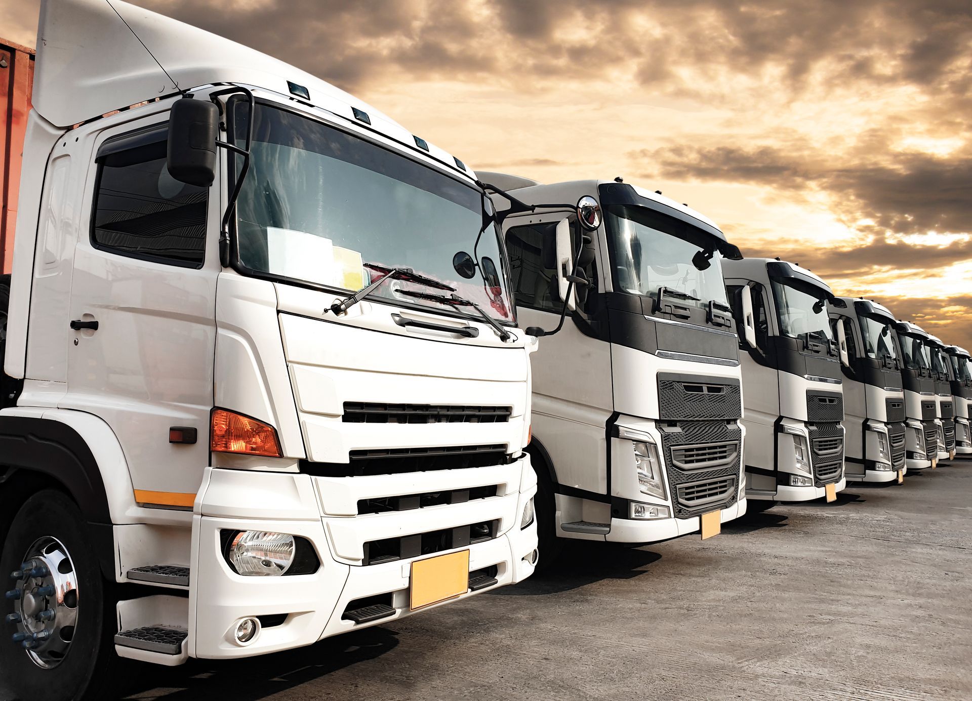 A row of semi trucks are parked in a parking lot.