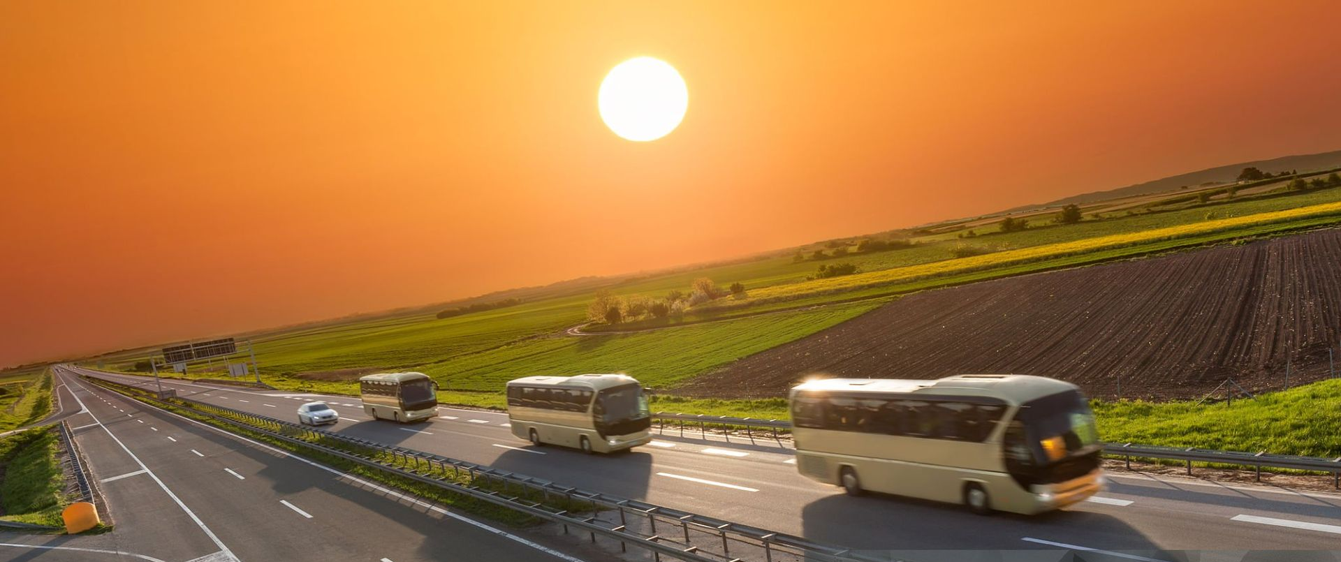 Três ônibus numa estrada com o céu dourado e campos verdes 