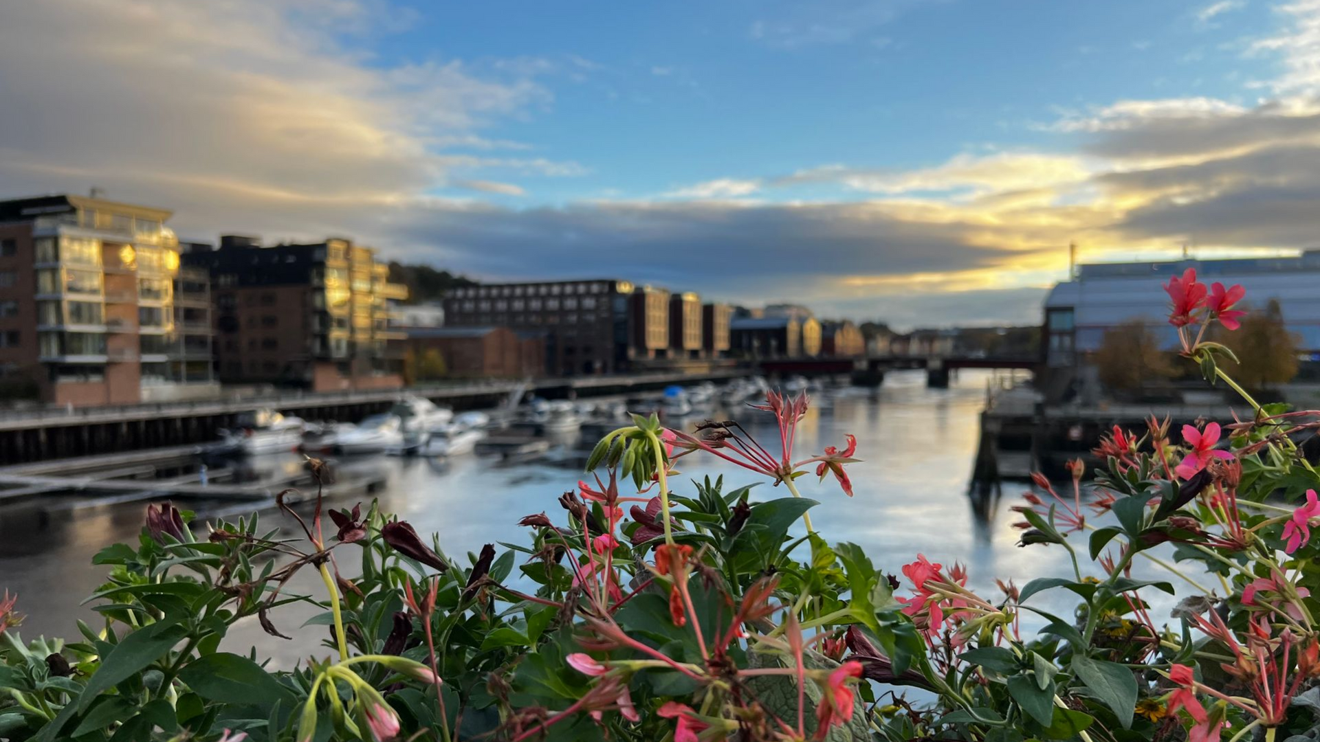 Blick von der Brücke auf Trondheim