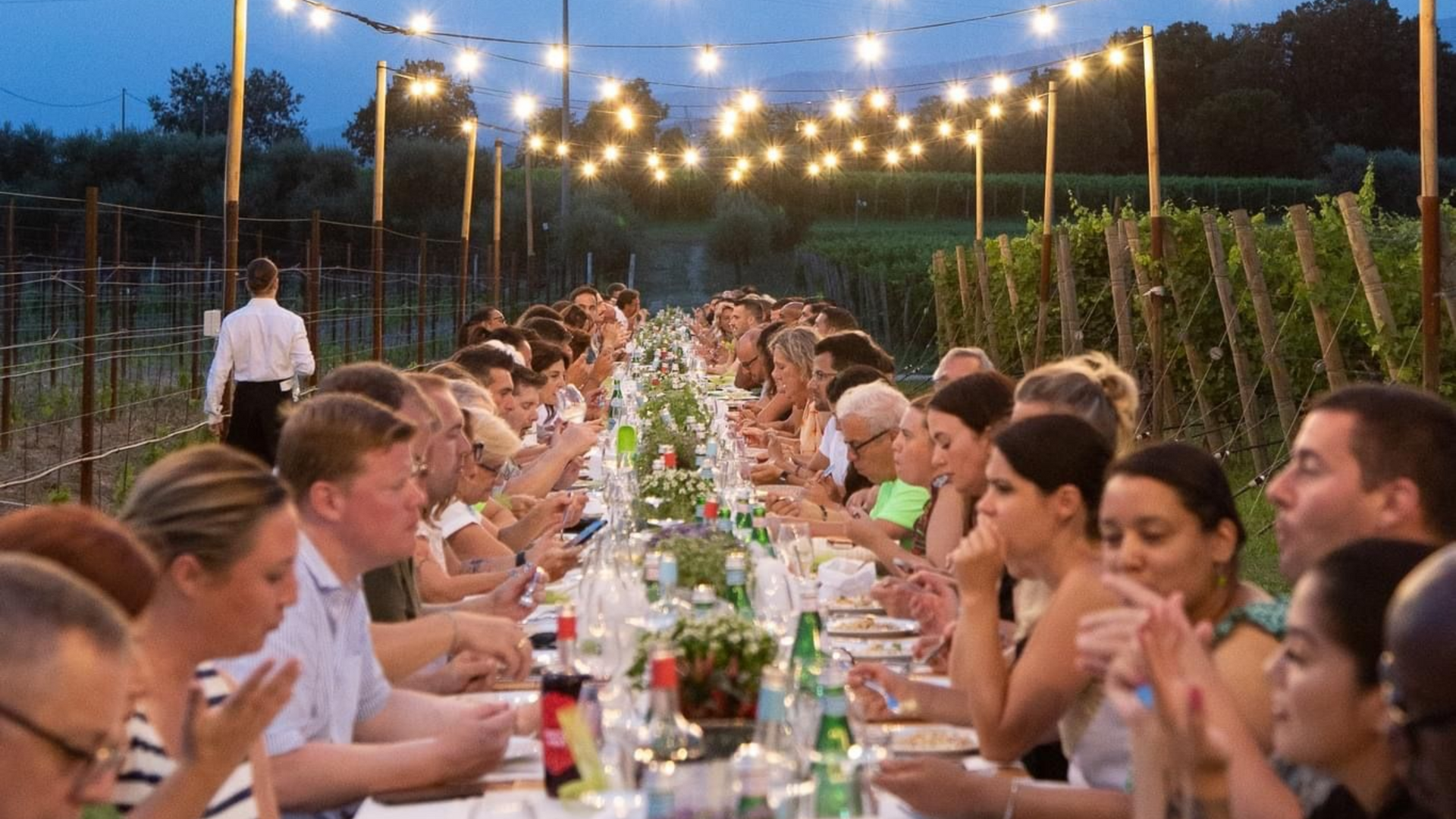 Meeting im Weinberg zwischen den Reben und unter dem Sternenhimmel
