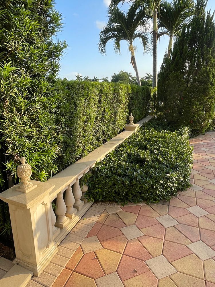 Power washing bricks