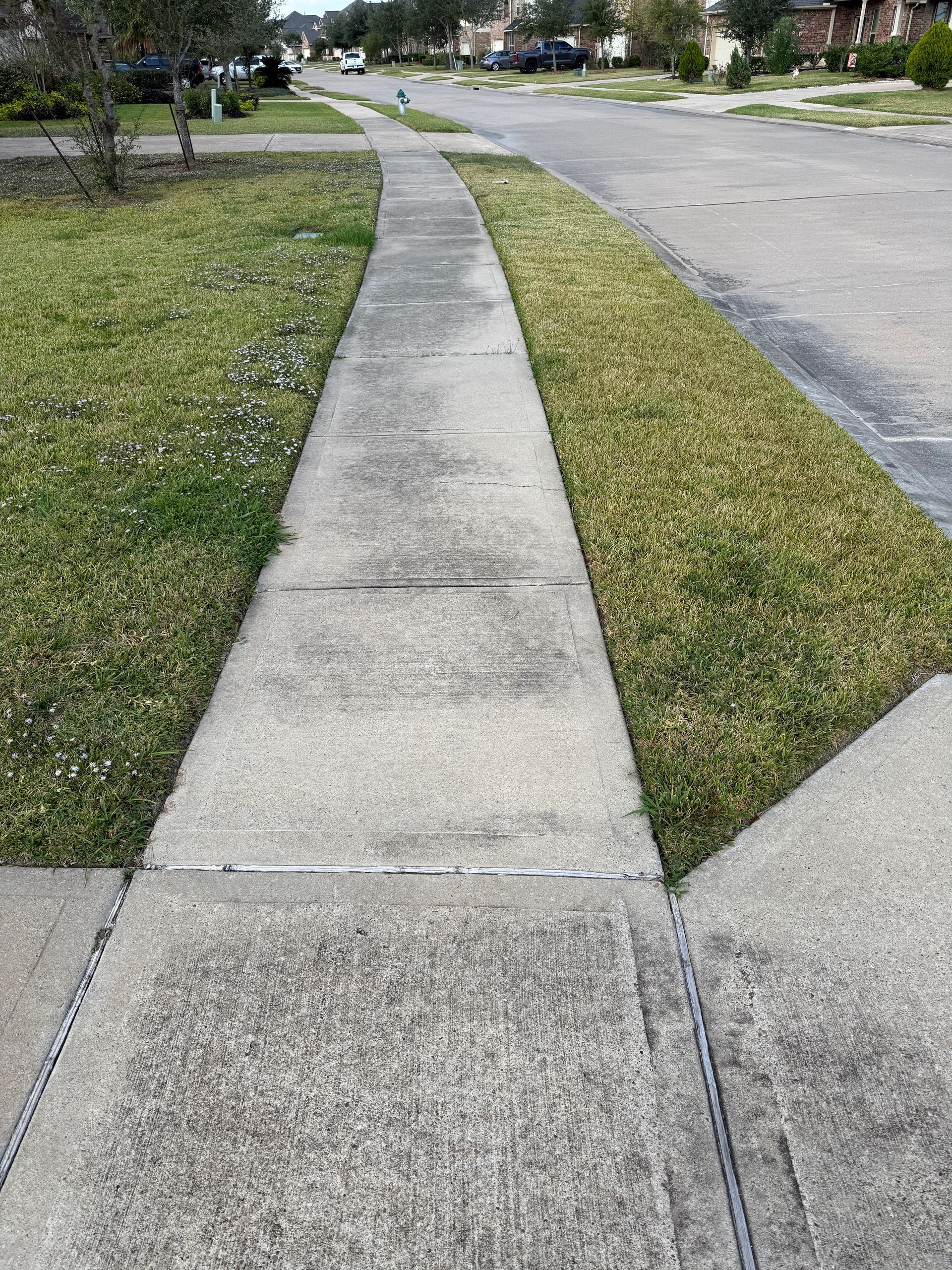 Sidewalk in a suburban neighborhood with grass on either side.
