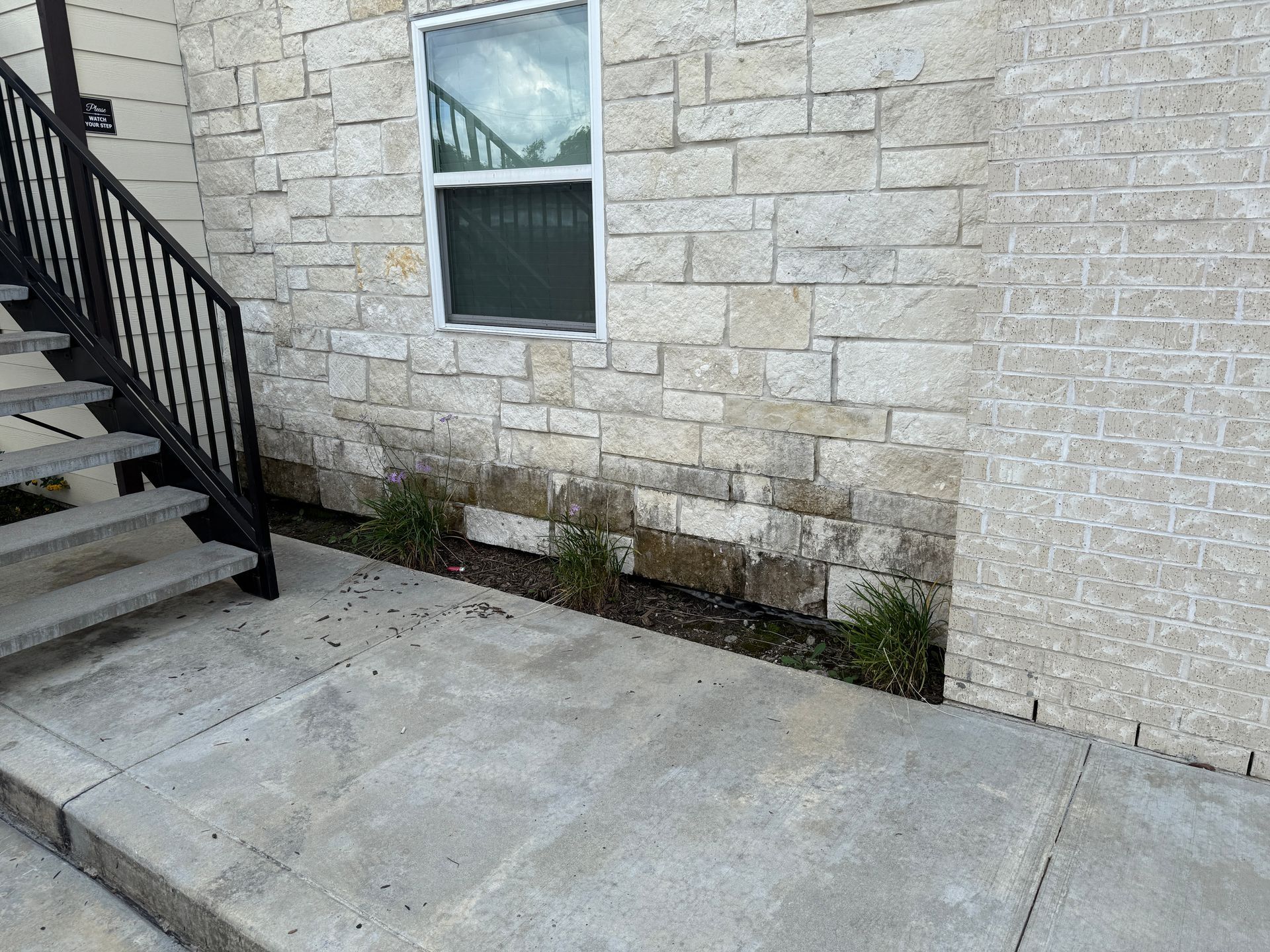 Exterior building with stone wall, concrete stairs, window, and small plants along a walkway.