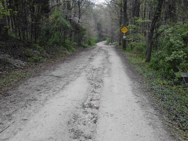 A dirt road in the woods with a yellow sign on the side.