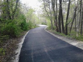 A road going through a forest with trees on both sides