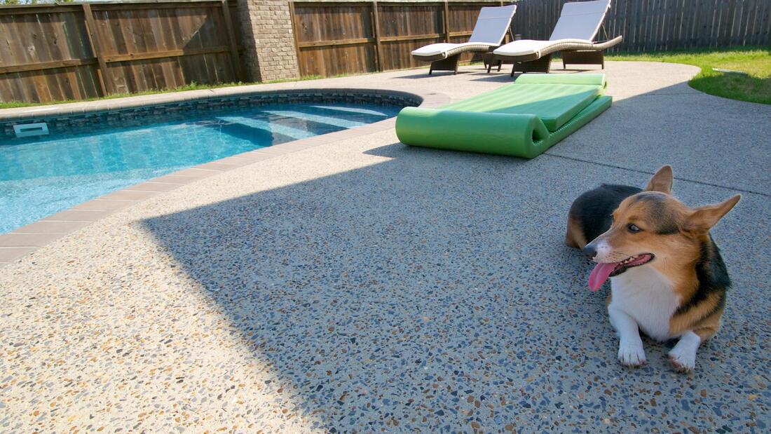Pool area with professional paving