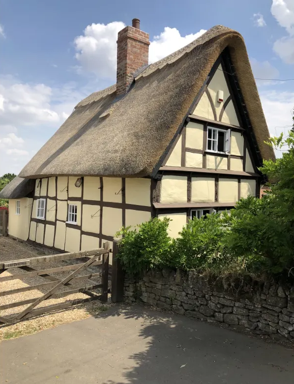 previous project example 1