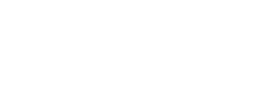 Company Logo - Footer