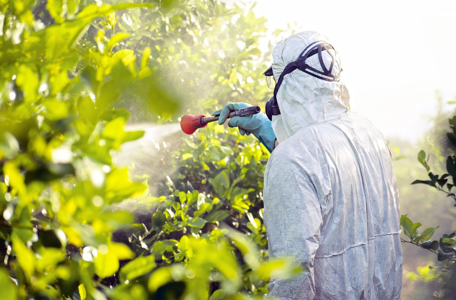 STEAM CLEANERS STEAM CLEANERS