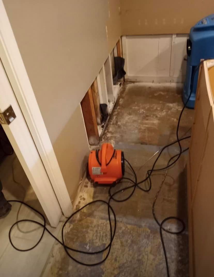 A vacuum cleaner is sitting on the floor in a room