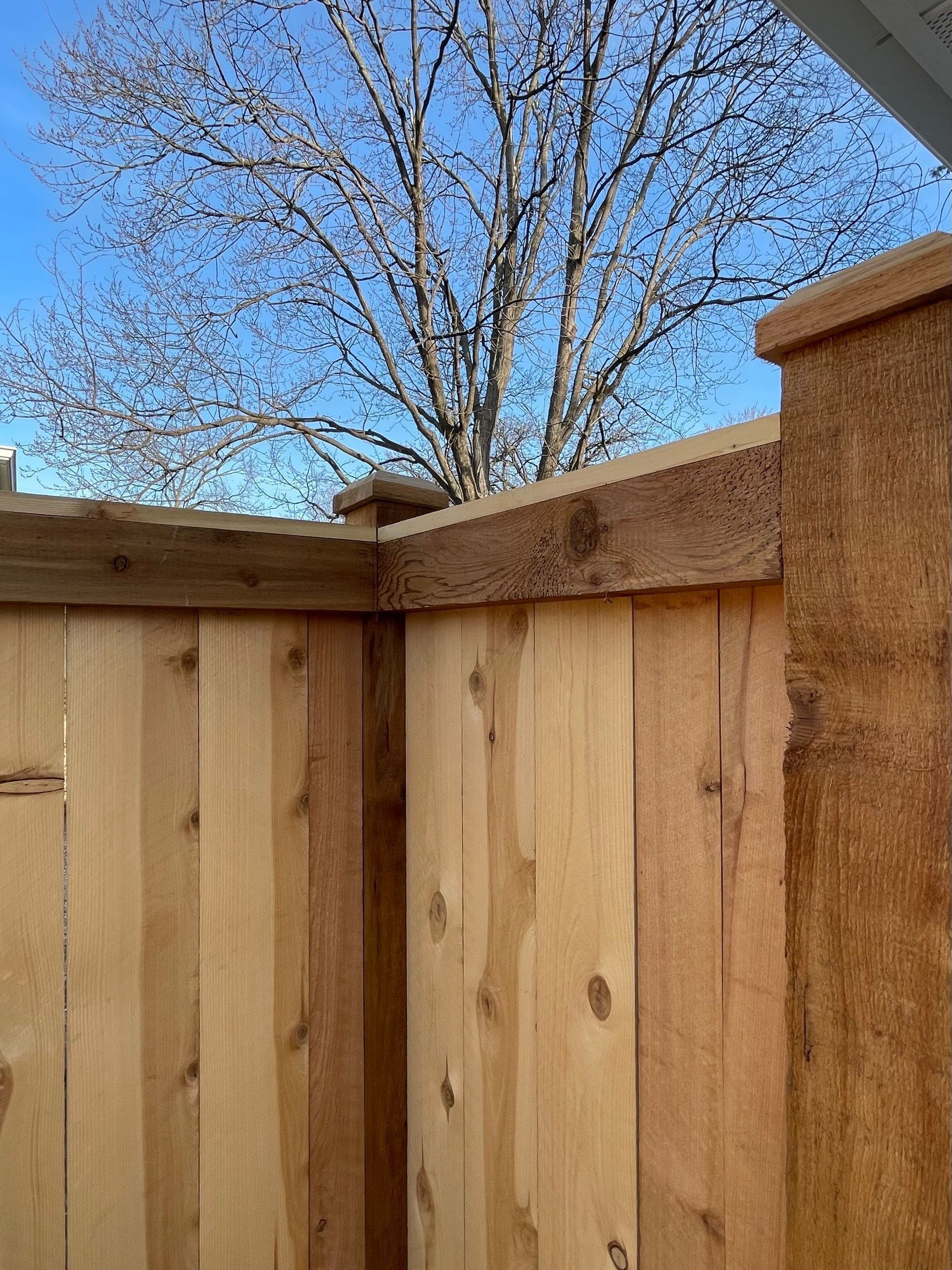 A close up of a wooden fence with a tree in the background.
