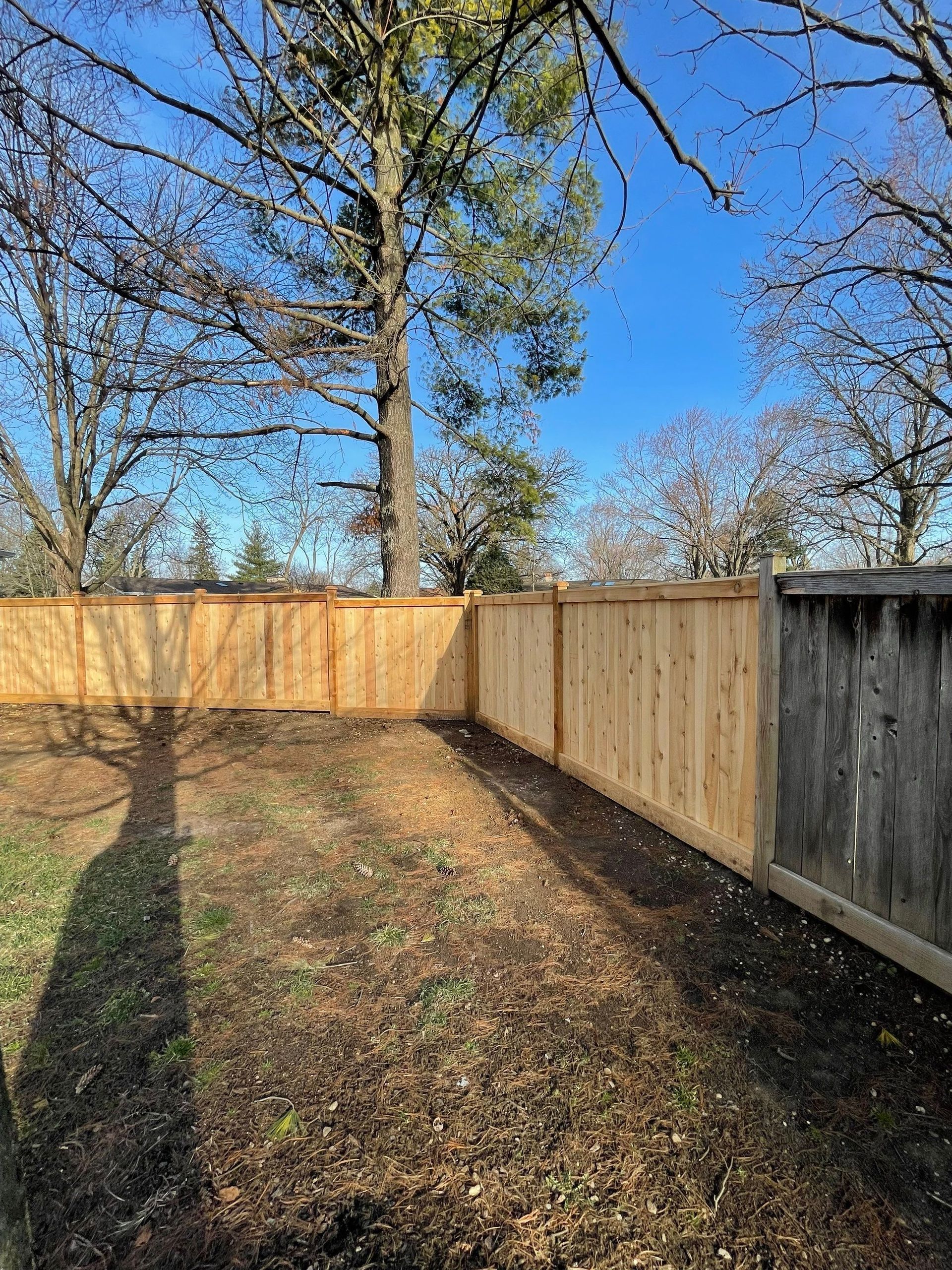 There is a wooden fence in the backyard with trees in the background.