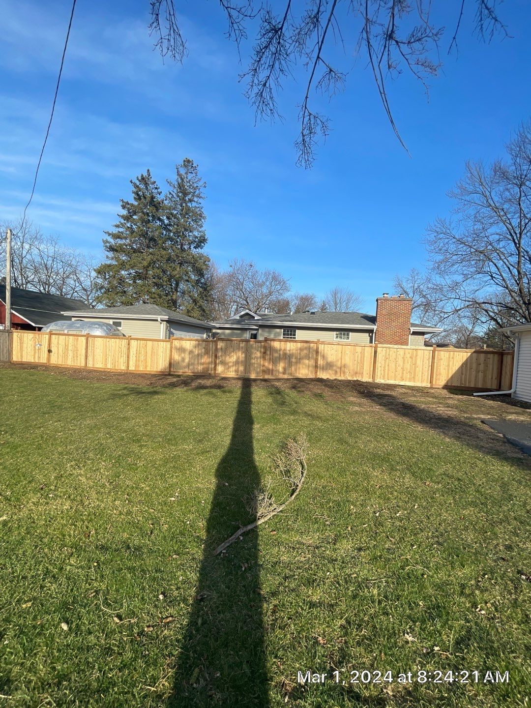 A shadow of a tree is cast on the grass in front of a wooden fence.