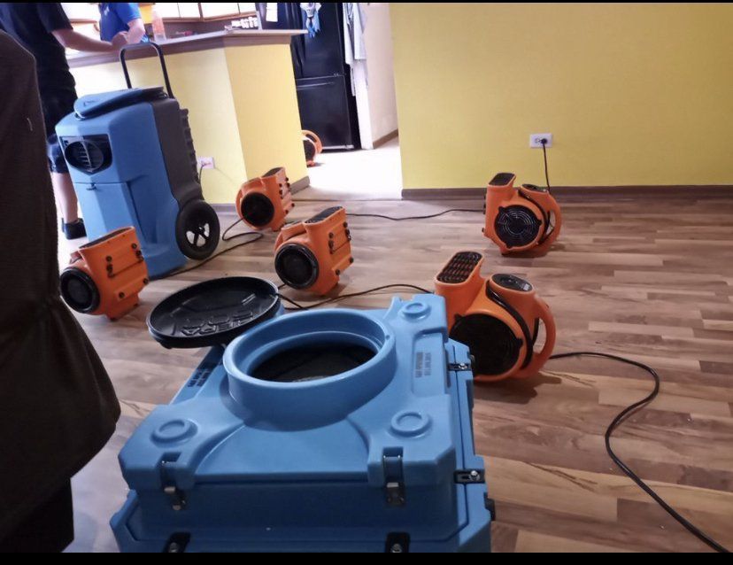 A bunch of fans are sitting on the floor in a room