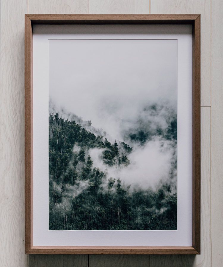 Framed Print 3