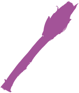 Purple Asparagus Spear