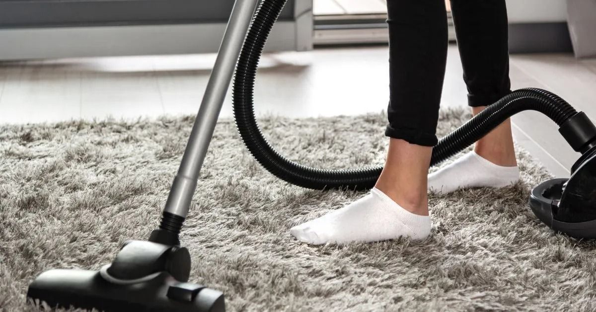 Vacuum Cleaned Carpet