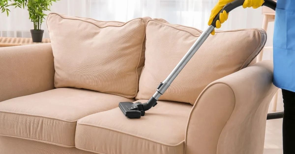 Vacuum on Brown Sofa