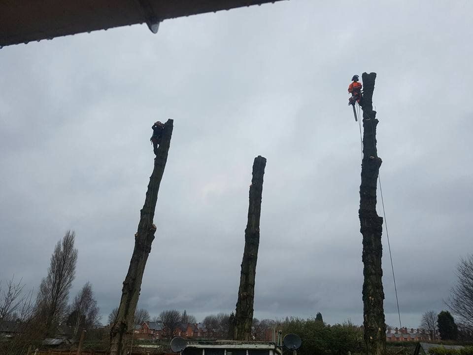 keep your garden in great shape