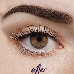 LVL lash lift