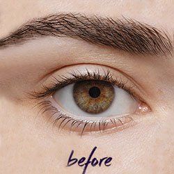 LVL lash lift