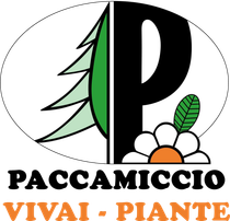 Logo Paccamiccio