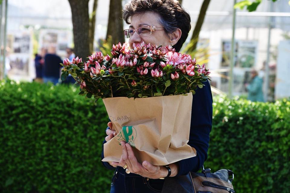 vendita di fiori