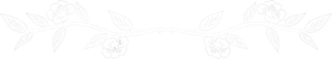 divisore grafico