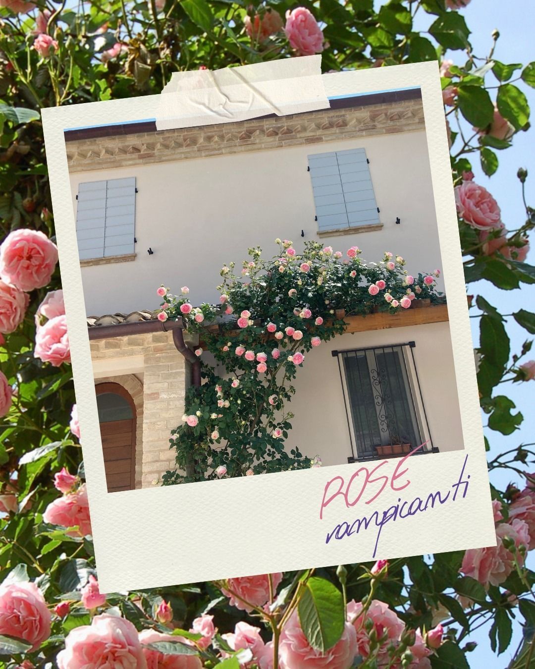 realizzazioni giardini