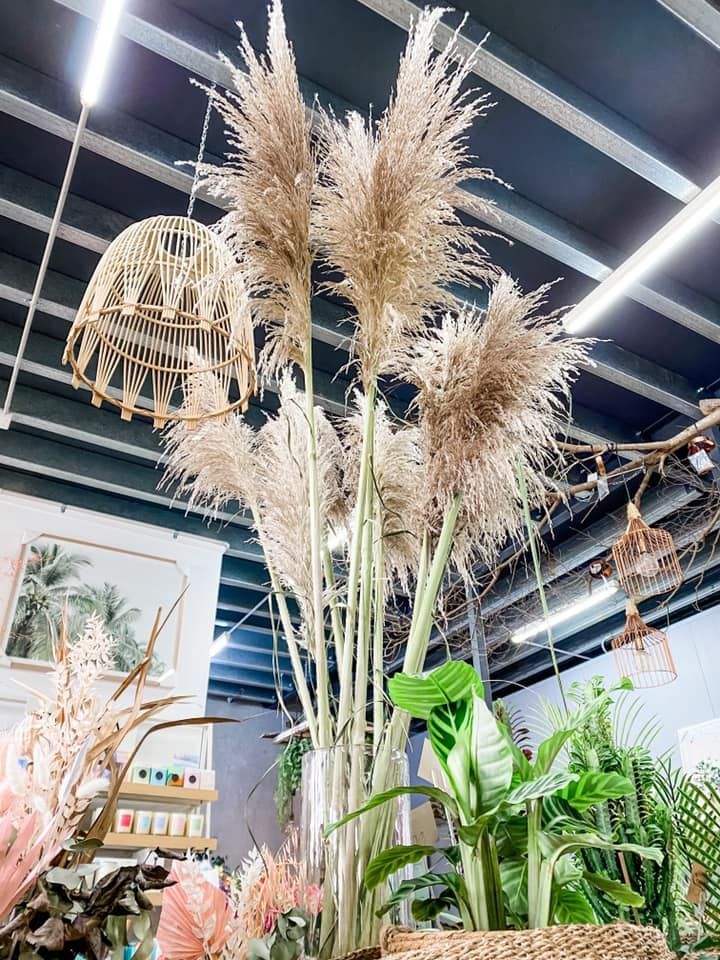A Bunch of Pampas Grass in a Vase in a Store — Suncoast Flowers in Birtinya, QLD