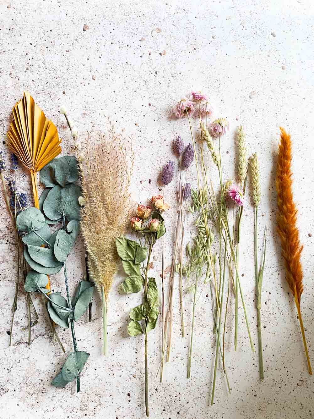 There Are Many Different Types of Dried Flowers on the Table — Suncoast Flowers in Birtinya, QLD